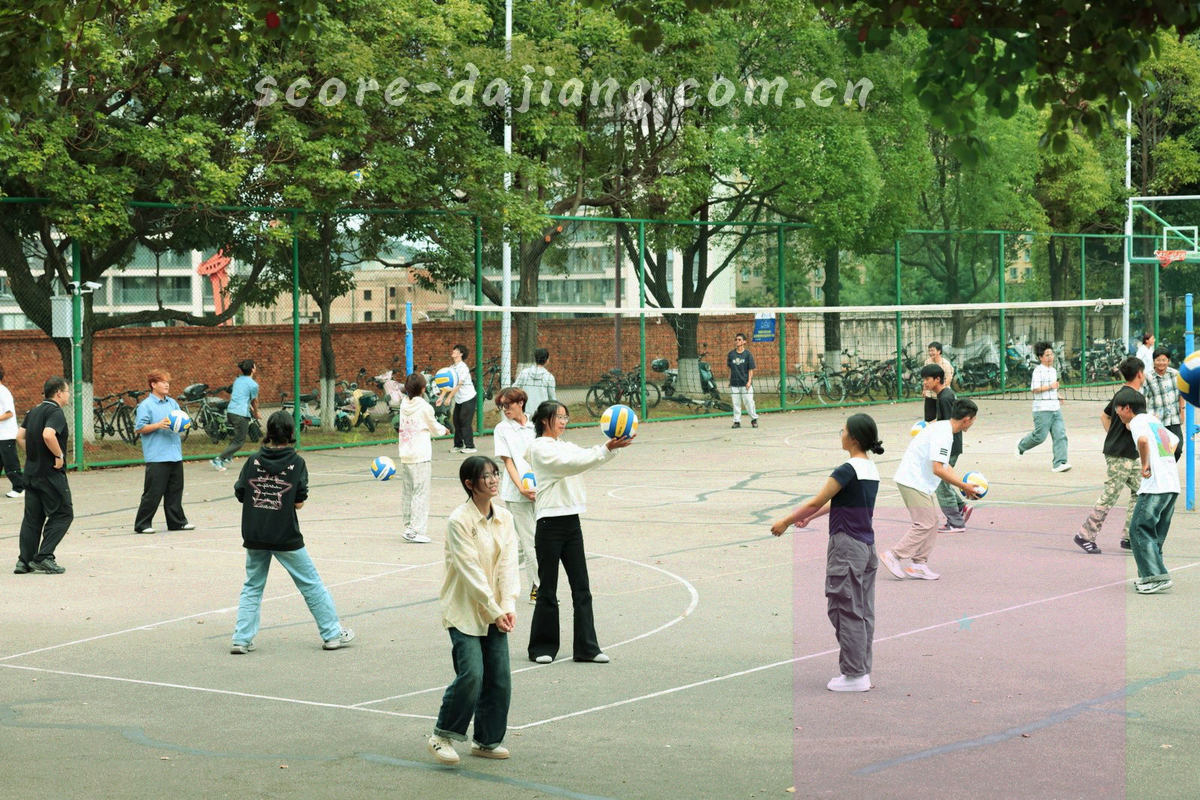 多块数据面板组合成的抽象示意画面，用电光青标出模块边界与字段标签